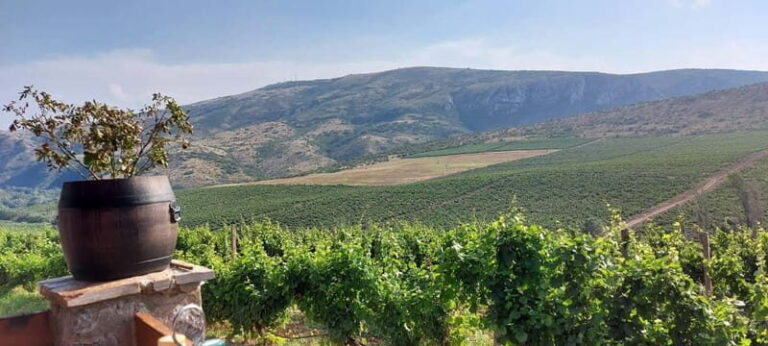 From Skopje: Private Tour of Sopot Winery with Lunch - The Highlights and the Hurdles