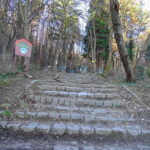From Sofia: One-Day Tour of Vitosha Mountain - What You’ll Love About This Tour