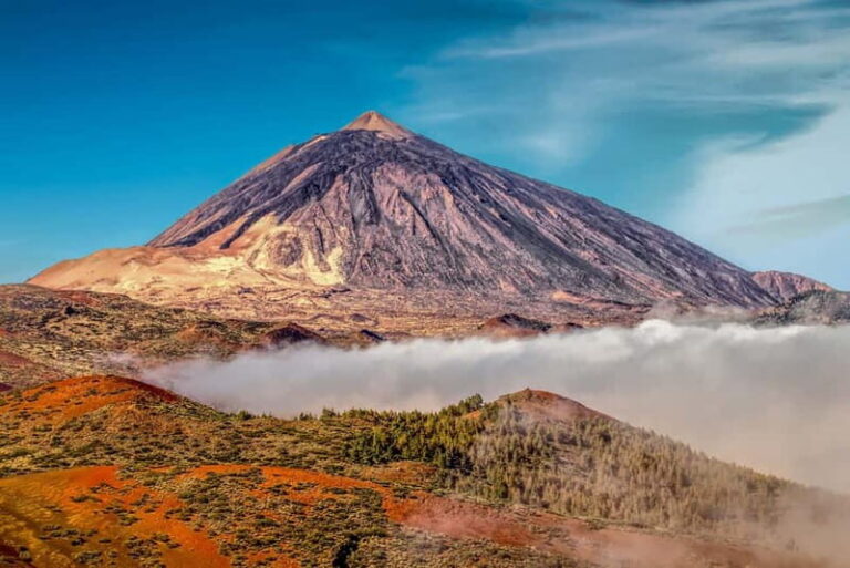 From South Tenerife: Mount Teide Hiking Day Trip & Cable Car - In-Depth Look at the Experience