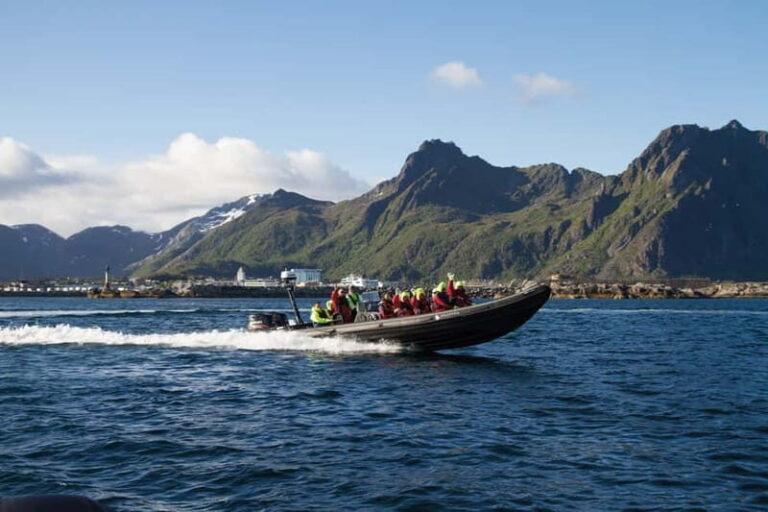 From Svolvær: Lofoten RIB Sea Eagle Safari Trollfjord Cruise - The Itinerary: What to Expect on Your 2-Hour Adventure