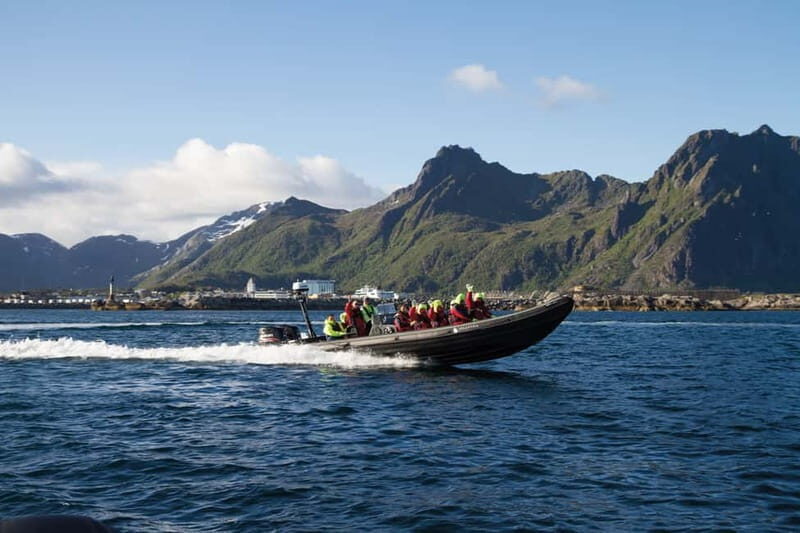 From Svolvær: Lofoten RIB Sea Eagle Safari Trollfjord Cruise - The Itinerary: What to Expect on Your 2-Hour Adventure
