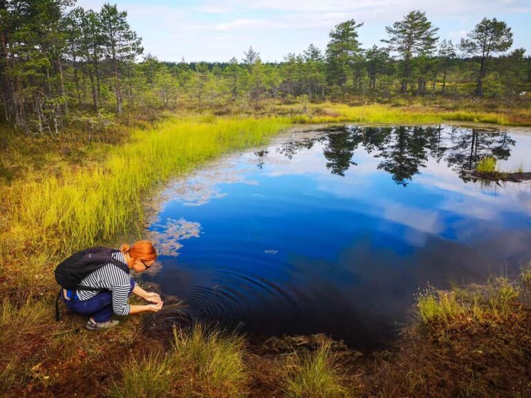 From Tallinn: Bog walk and Sauna Tour - Exploring Estonia’s Natural Beauty