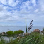 From Tallinn: Lahemaa National Park Day Trip - The Details: What to Expect on the Lahemaa National Park Day Trip