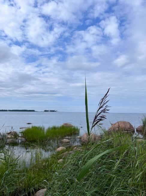 From Tallinn: Lahemaa National Park Day Trip - The Details: What to Expect on the Lahemaa National Park Day Trip