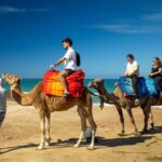 From Tangier: Cap Spartel and Hercules Cave with Camel Ride - The Breakdown: What You Can Expect