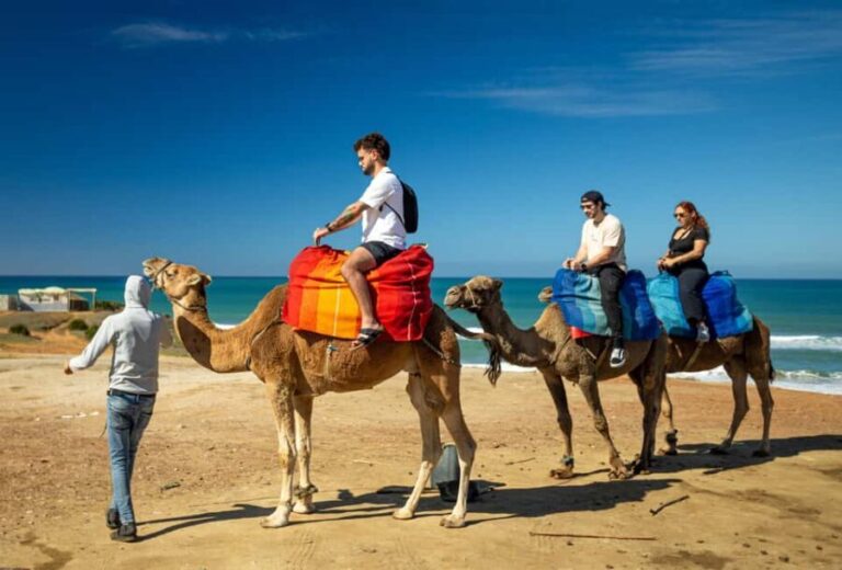 From Tangier: Cap Spartel and Hercules Cave with Camel Ride - The Breakdown: What You Can Expect