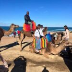 From Tarifa: Tangier Day Trip with Lunch and Ferry - Practical Tips for the Tour