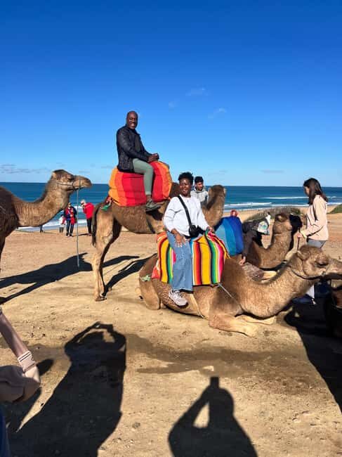 From Tarifa: Tangier Day Trip with Lunch and Ferry - Practical Tips for the Tour