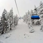 From Tbilisi: Borjomi and Bakuriani Ski Resort Private Tour - Transport and Practical Details