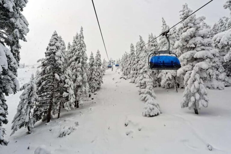 From Tbilisi: Borjomi and Bakuriani Ski Resort Private Tour - Transport and Practical Details