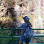 From Tbilisi: Diamond Bridge and Dashbashi Canyon Day Trip - What Makes This Tour Stand Out?