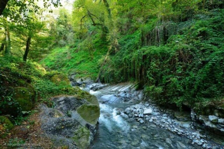 From Tbilisi: Private Ninoskhevi Waterfall Hike in Lagodekhi - Price and Value Analysis