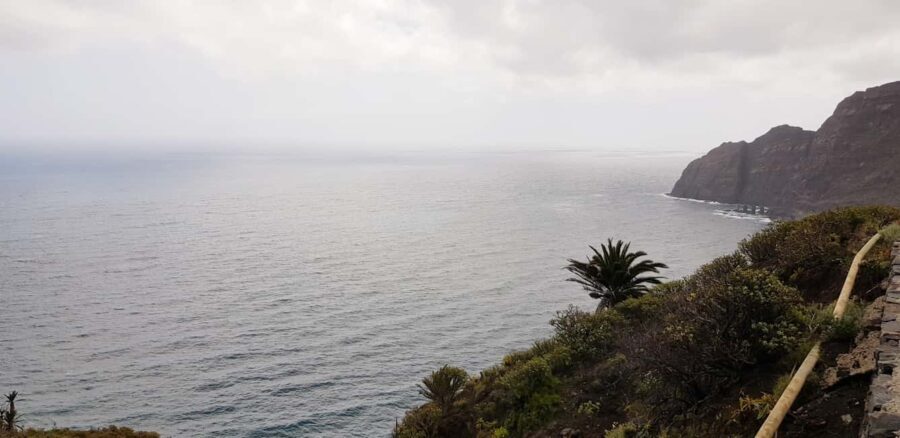 From the south of Tenerife: La Gomera full day trip - What Makes This Tour Stand Out