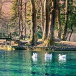 From Thessaloniki: Vergina, Agios Nikolaos, and Edessa - Who Is This Tour Best For?