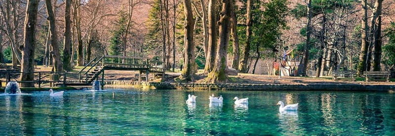 From Thessaloniki: Vergina, Agios Nikolaos, and Edessa - Who Is This Tour Best For?