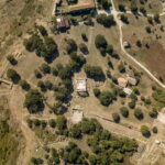 From Tirana: Apollonia and Ardenica Monastery Guided Tour - What You Should Know Before Booking