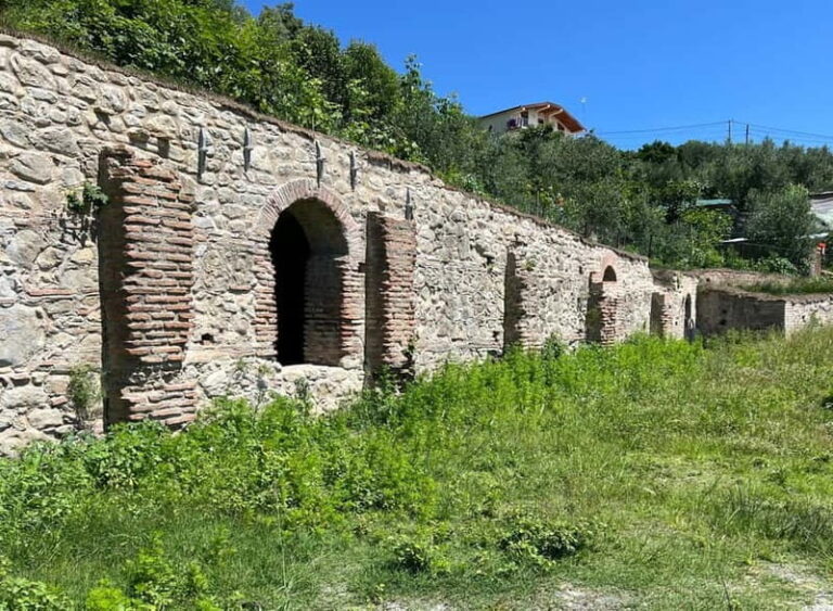 From Tirana: Berat City, Belshi Lake and Roman Baths Tour - Who Should Consider This Tour?