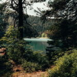 From Tirana: Bosnia, Montenegro & Albania 4-Day Guided Tour - In-Depth Breakdown of the Itinerary