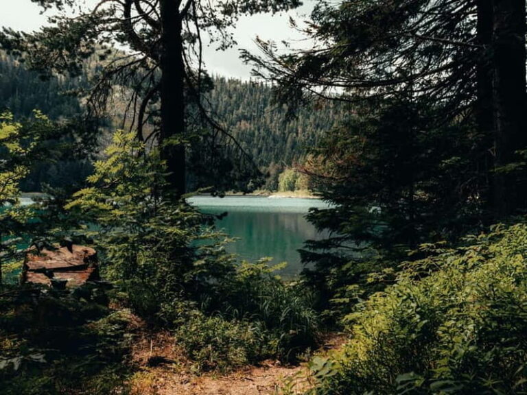 From Tirana: Bosnia, Montenegro & Albania 4-Day Guided Tour - In-Depth Breakdown of the Itinerary