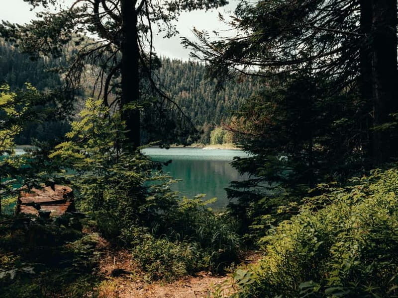 From Tirana: Bosnia, Montenegro & Albania 4-Day Guided Tour - In-Depth Breakdown of the Itinerary