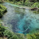 From Tirana/Durrës: Gjirokastra and Blue Eye Day Tour - A Complete Breakdown of the Tour