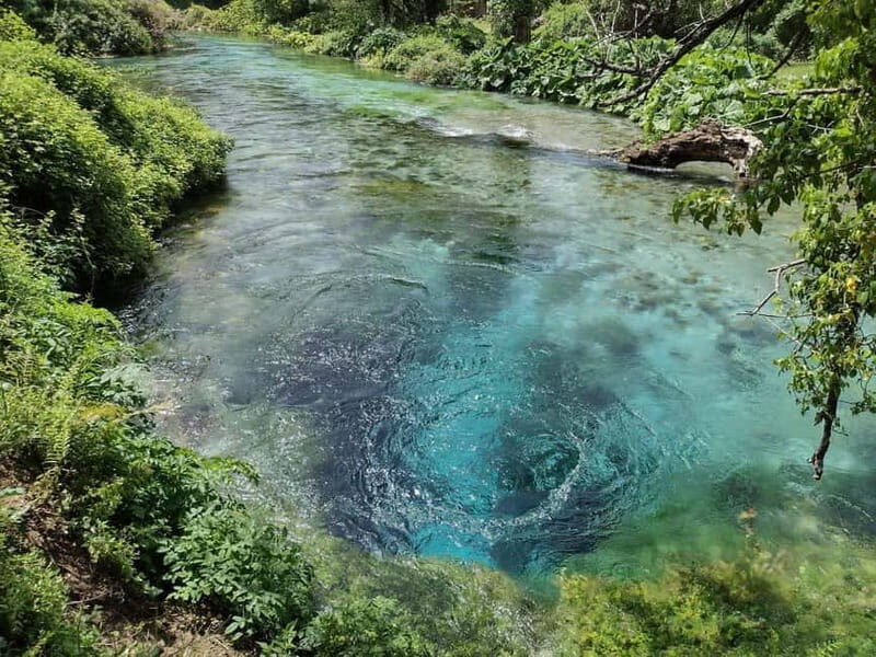From Tirana/Durrës: Gjirokastra and Blue Eye Day Tour - A Complete Breakdown of the Tour