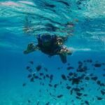 From Tirana/Durres/Golem: Vlora to Karaburun Speed Boat Trip - Exploring the Highlights: Sazan Island, Haxhi Ali Cave, and Karaburun Peninsula