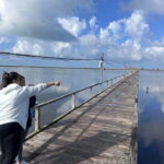 From Tirana/Durres : Karavasta Lagoon 4x4 Offroad Tour. - Exploring Divjaka National Park and the Pelican