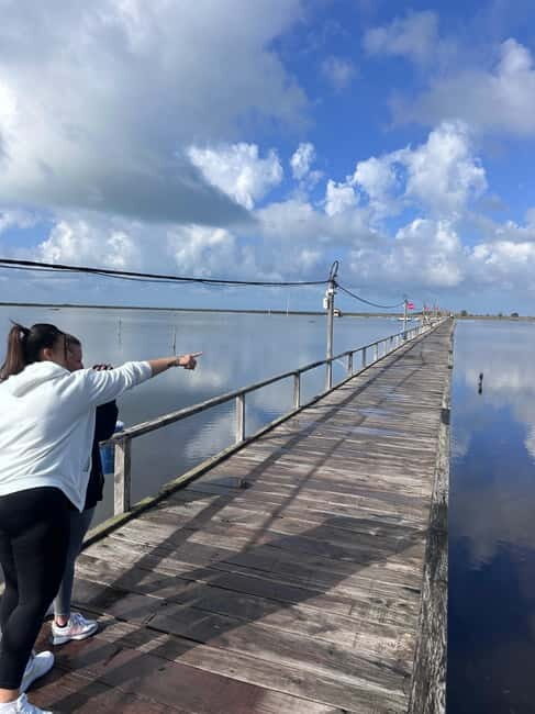 From Tirana/Durres : Karavasta Lagoon 4x4 Offroad Tour. - Exploring Divjaka National Park and the Pelican