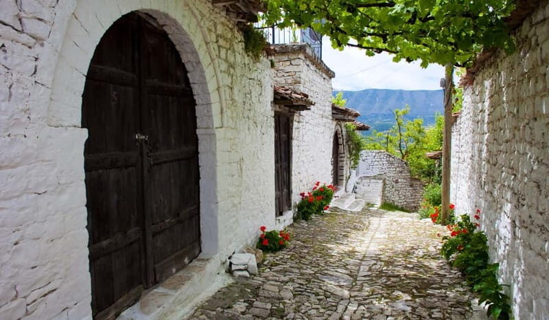 From Tirana & Durres :Private Day Trip to Apollonia, Berat - Why This Tour Is a Great Pick