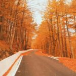 From Tirana / Durrës: Qafë-Shtamë, Sarisalltik & Krujë Tour - FAQ