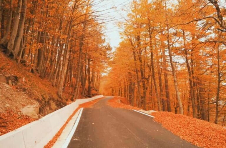 From Tirana / Durrës: Qafë-Shtamë, Sarisalltik & Krujë Tour - FAQ