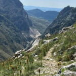 From Tirana: Hiking tour to Dajti mountain and Bovilla lake - Price and Value