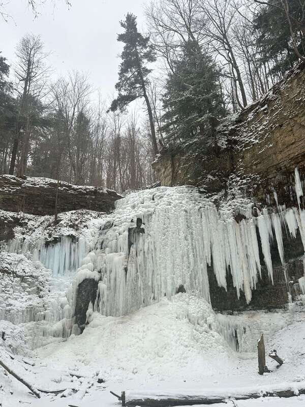 From Toronto: Niagara Falls Day Trip & Wine Tasting - Why This Tour Offers Good Value