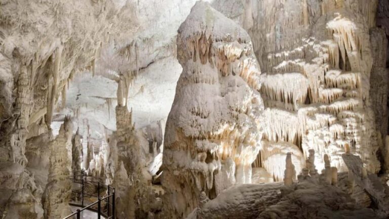 From Trieste: Postojna Cave & Predjama Castle Tour - In-Depth Look at the Itinerary