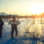 From Tromsø: Guided Husky Snowshoe Hike and Husky Camp Visit - Explore the Details: What This Tour Offers