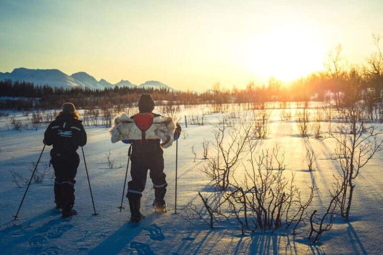 From Tromsø: Guided Husky Snowshoe Hike and Husky Camp Visit - Explore the Details: What This Tour Offers
