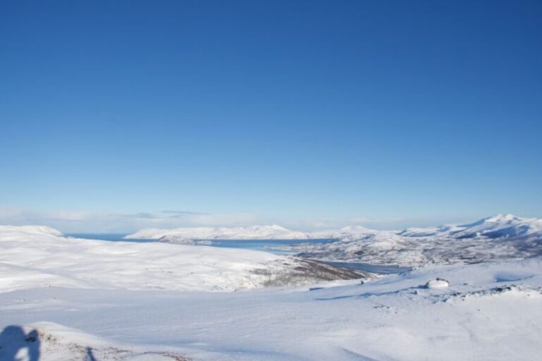 From Tromsø: Guided Snowshoe Hike Experience - Equipment and Comfort