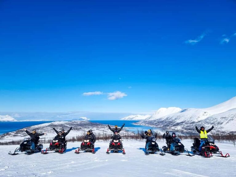 From Tromsø: Lyngen Alps Guided Snowmobile Tour/ afternoon - Who Would Love This Tour?  