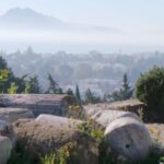 From Tunis/Sousse: Medina Carthage, Sidi Boussaid Tour - Who Will Love This Tour?