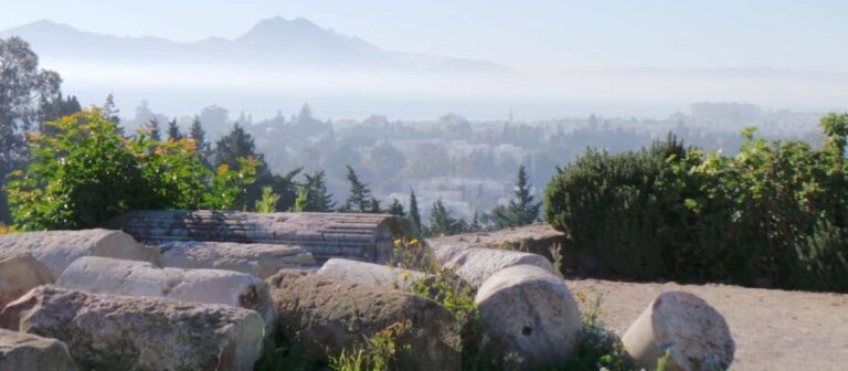 From Tunis/Sousse: Medina Carthage, Sidi Boussaid Tour - Who Will Love This Tour?