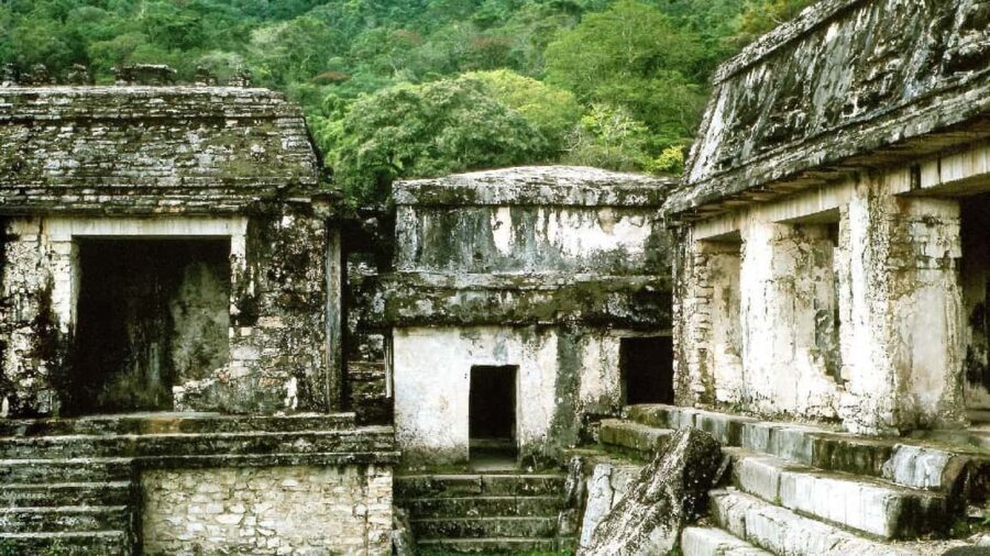 From Tuxtla Gutierrez: Palenque & Chiapas 4-Day Tour - Practical Details and Value