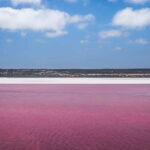 From Valencia: Pink lagoon and Alicante, colors, sea and sunshine. - Who This Tour Is Best For