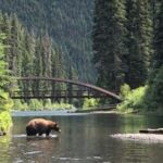 From Vancouver: 3-Day Tour to Manning Park, Nelson & Osoyoos - What Makes This Tour Stand Out