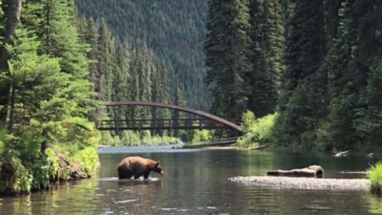 From Vancouver: 3-Day Tour to Manning Park, Nelson & Osoyoos - What Makes This Tour Stand Out