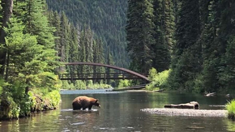 From Vancouver: 3-Day Tour to Manning Park, Nelson & Osoyoos - What Makes This Tour Stand Out