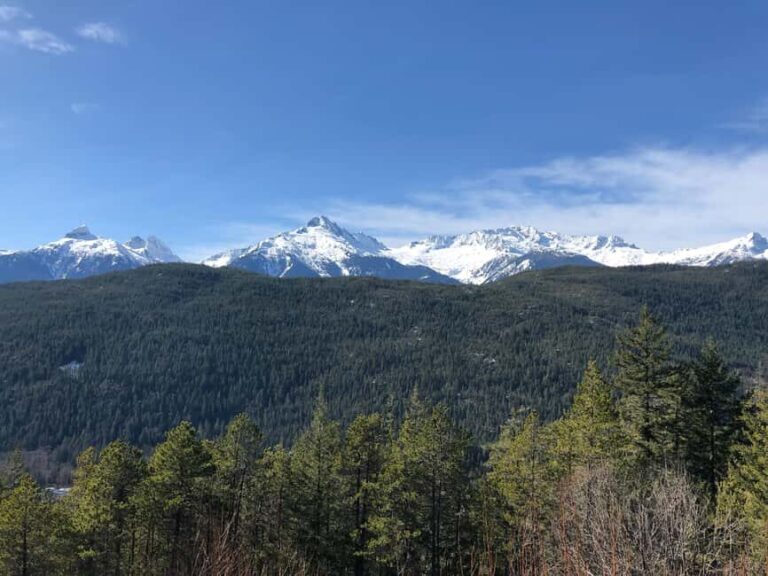 From Vancouver: Sea to Sky Gondola and Whistler Village Tour - Transportation and Group Experience