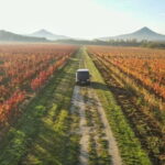 From Veszprém: Balaton Half-Circle Tour with Ferry Ride - Final Thoughts