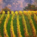 From Vienna: Cesky Krumlov Small-Group Guided Day Trip - Why Choose This Tour?