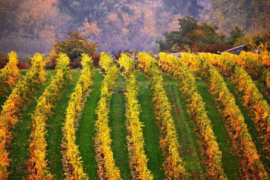 From Vienna: Cesky Krumlov Small-Group Guided Day Trip - Why Choose This Tour?